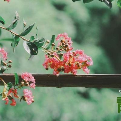 押注篮球的app手机app下载截图