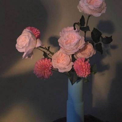 押注篮球的app手机app下载