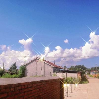 半岛bob综合登入app下载